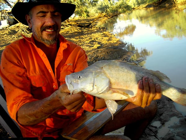 Dr Adam Kerezsy holds a healthy Yellowbelly