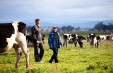 Dairy farmers