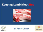 Honor Calnan presentation